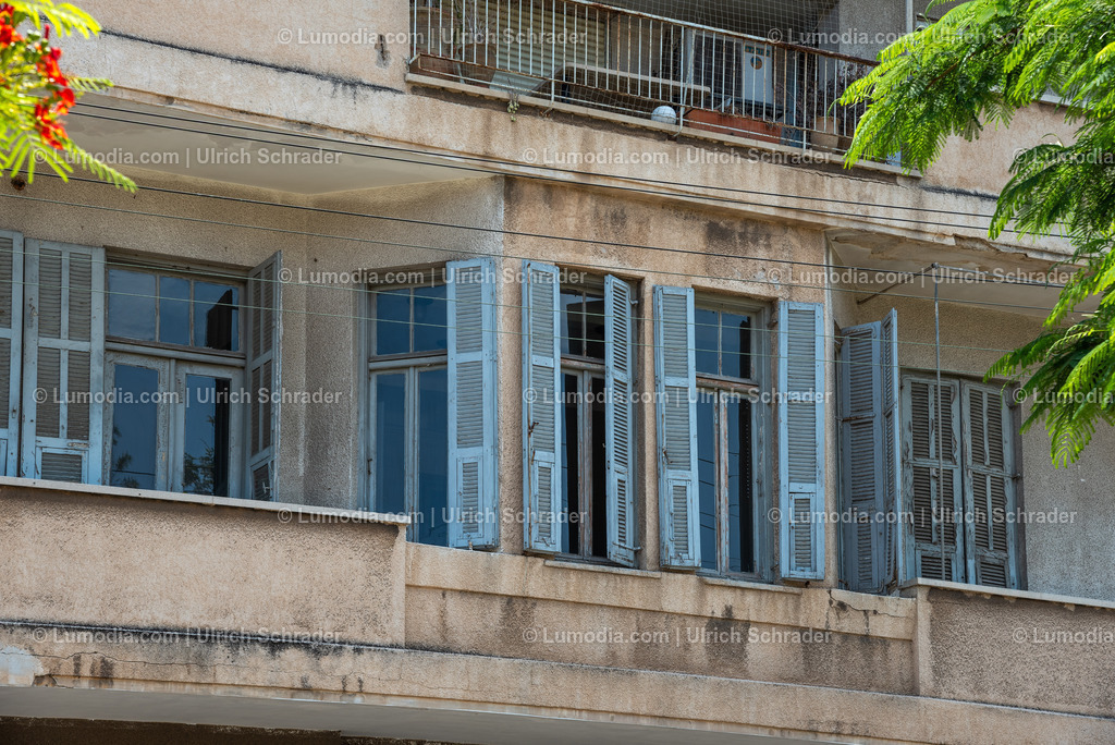 10972-10142 - Tel Aviv - Rothschild Boulevard | Stockfoto und Bilderpool mit Bildmaterial aus Deutschland, dem Harz, Halberstadt, Quedlinburg, Wernigerode und weltweit. Qualitativ hochwertige und professionelle Fotos anschauen und kaufen. - Realisiert mit Pictrs.com