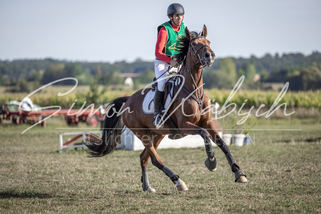 20250907-_3LI4587 | Tierfotografie Pferde, Hunde, Katzen, Haustiere.
Turnierfotografie Reitturniere, Reiten, Springreiten, Dressur in Hanau, dem Main-Kinzig-Kreis und dem Rhein-Main- Gebiet um Frankfurt