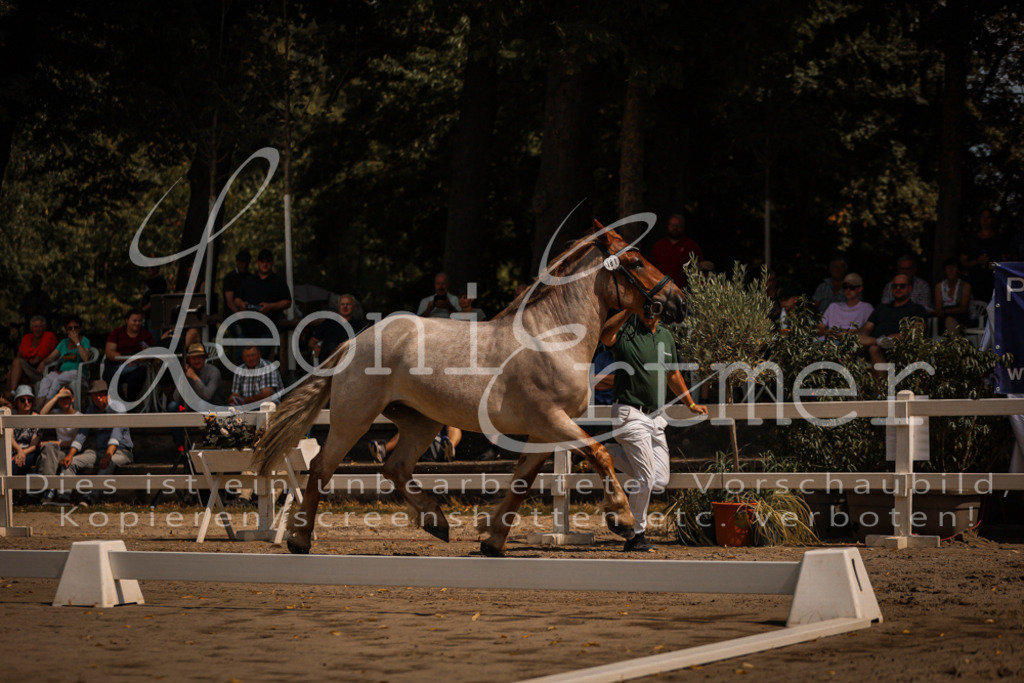 1.Sa00036 | Leoni Ertmer Photography - Realisiert mit Pictrs.com