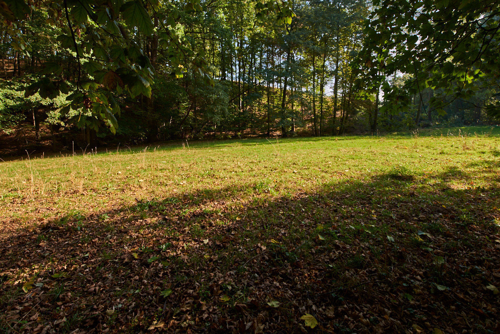 In der Neustädtler Skala 04 | Bedeutsame Landschaften Deutschlands - Realisiert mit Pictrs.com