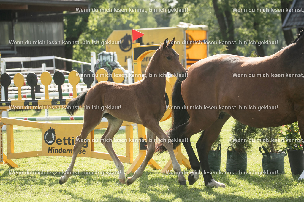 598A7076 | photographylinaismer - Realisiert mit Pictrs.com