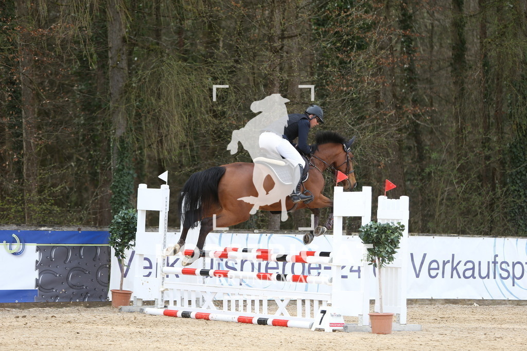 DL2Q0188 | Willkommen bei Brunnmayr - Design & Fotografie – Ihrem Spezialisten für Reitturniere und Pferdeveranstaltungen in Oberösterreich, Salzburg und Bayern! Seit über 17 Jahren sind wir leidenschaftlich dabei.