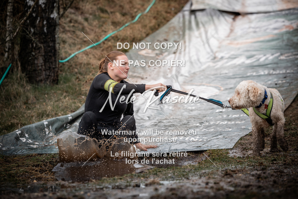 nelerasche_1430-1500_131 | nelerasche