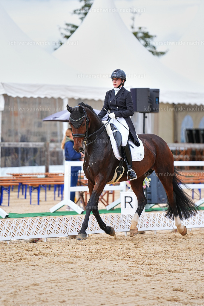 8_1-099-Klasse S_  -Marixx-4163 | working equitationturnier fotograf videograf stoibphotography marixx film working equitation deutschland reitsport turnierfotografie eventfotografie equestrian events