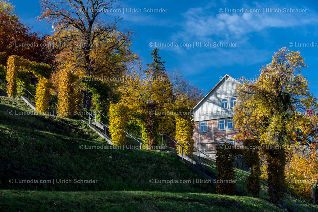 100494-3945 - Barockgarten Blankenburg | max. Bildgröße A2 | 300dpi - Realisiert mit Pictrs.com