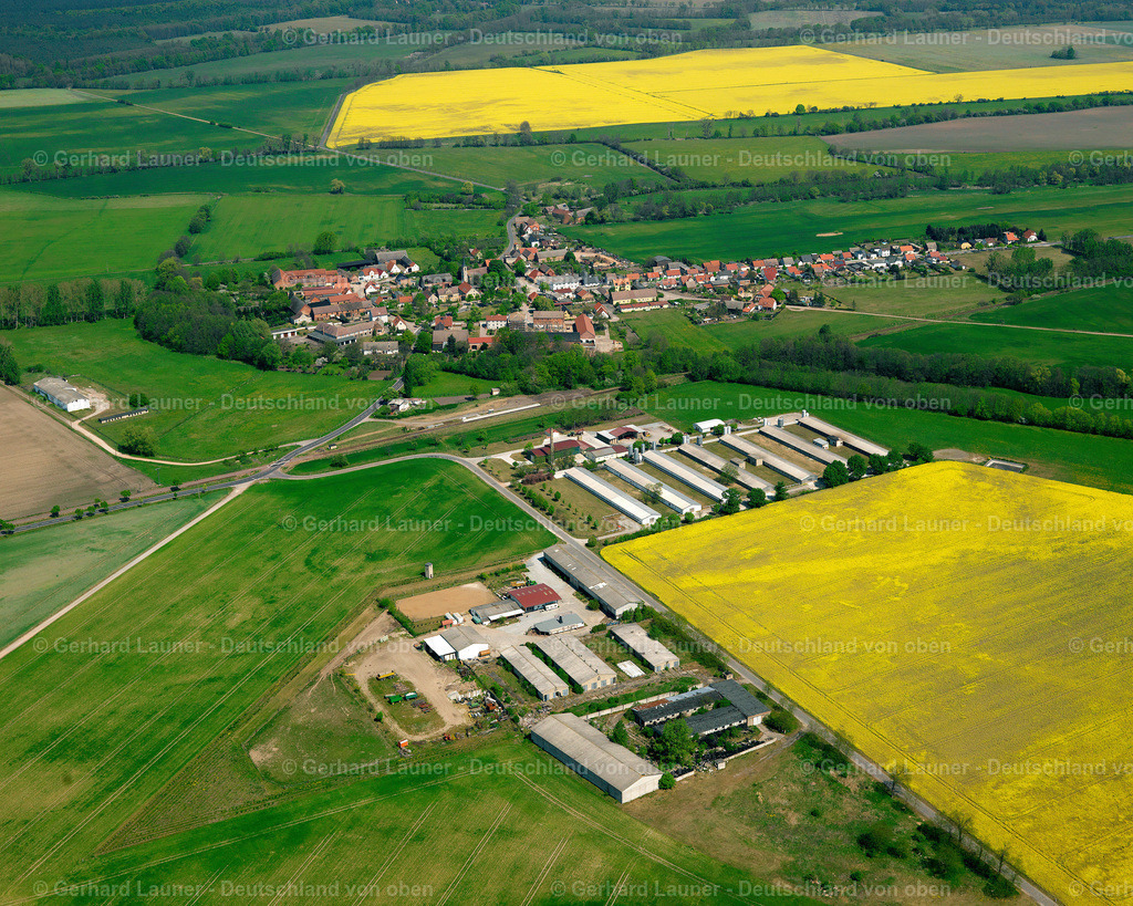 2709640 | Zeppernick