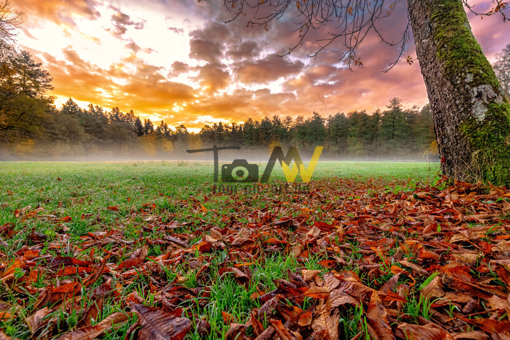 0Y9A9953-Bearbeitet-Bearbeitet | Hochauflösende und hochwertige Bilder und Fotos.Kommerzielle oder private Nutzung ✔ Bilder downloaden✔ Acryl ✔ Leinwand ✔ Poster ✔
 - Realisiert mit Pictrs.com