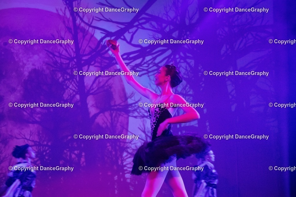 GPHY2824 | DanceGraphy - Realisiert mit Pictrs.com