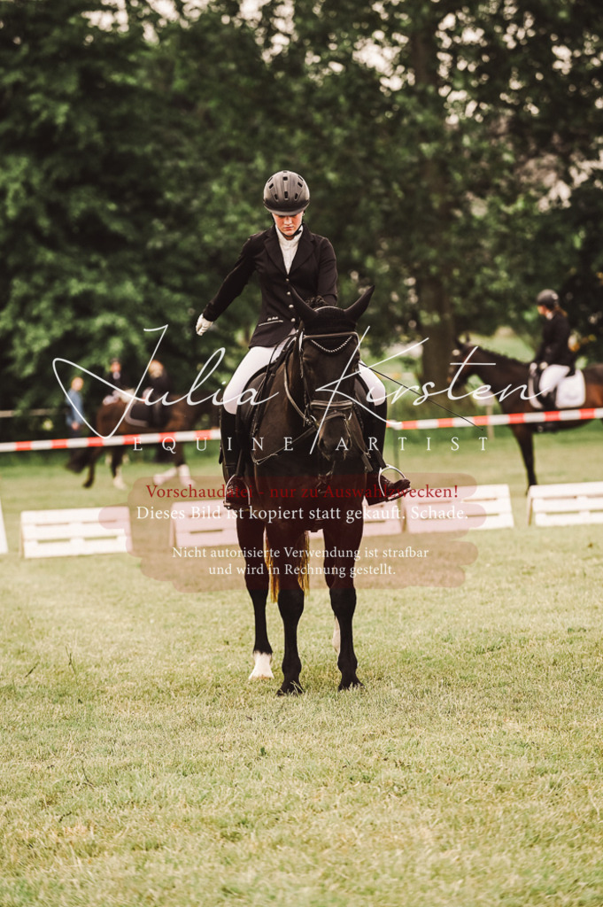 DSC_5137 | Pferde- und Turnierfotografie in Westsachsen. Pferdeportraits, Auftragszeichnungen und intuitive Kunst.