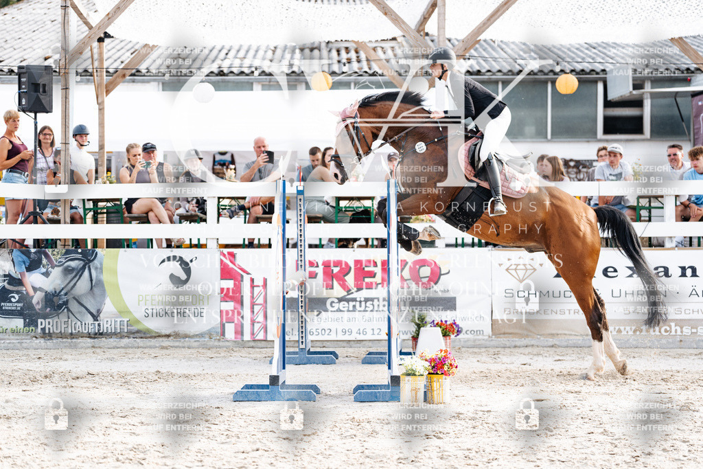 CK906801 | Turnierfotografie Pferdefotografie Trier Rheinland-Pfalz Pferdesport Reitsport Tierfotografie Sportfotografie Pferdevideo Pferdevideografie Equestrianvideography equestrianphotography  - Realisiert mit Pictrs.com