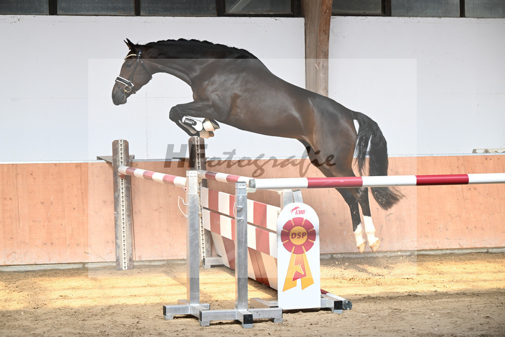 Kat-Nr. 9 Laurena_Kuehnle u Langhammer_49220052 | hf-fotografie - Realisiert mit Pictrs.com