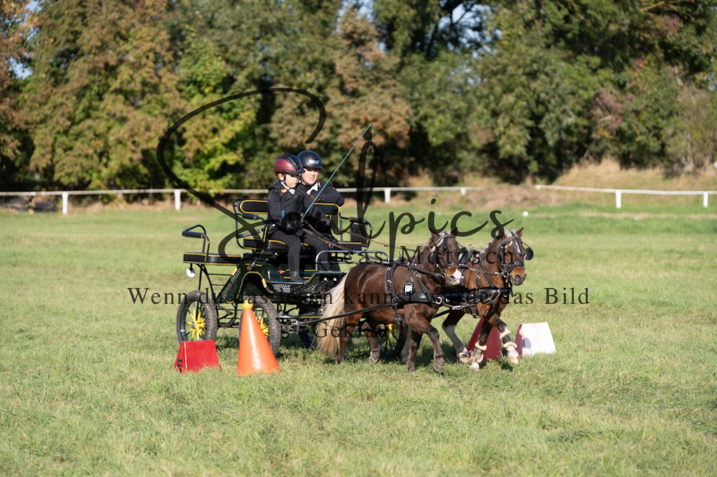 A7V04626 | Pferdefotograf