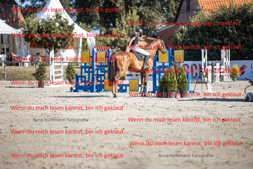 BK1A7317 | Turnierbilder Turnierfotos Nina Hüffmann Turnierfotografie Pferdefotografie Tierzeichnung Haustierzeichnung Pferdezeichnung Hundezeichnung Videograf  - Realisiert mit Pictrs.com