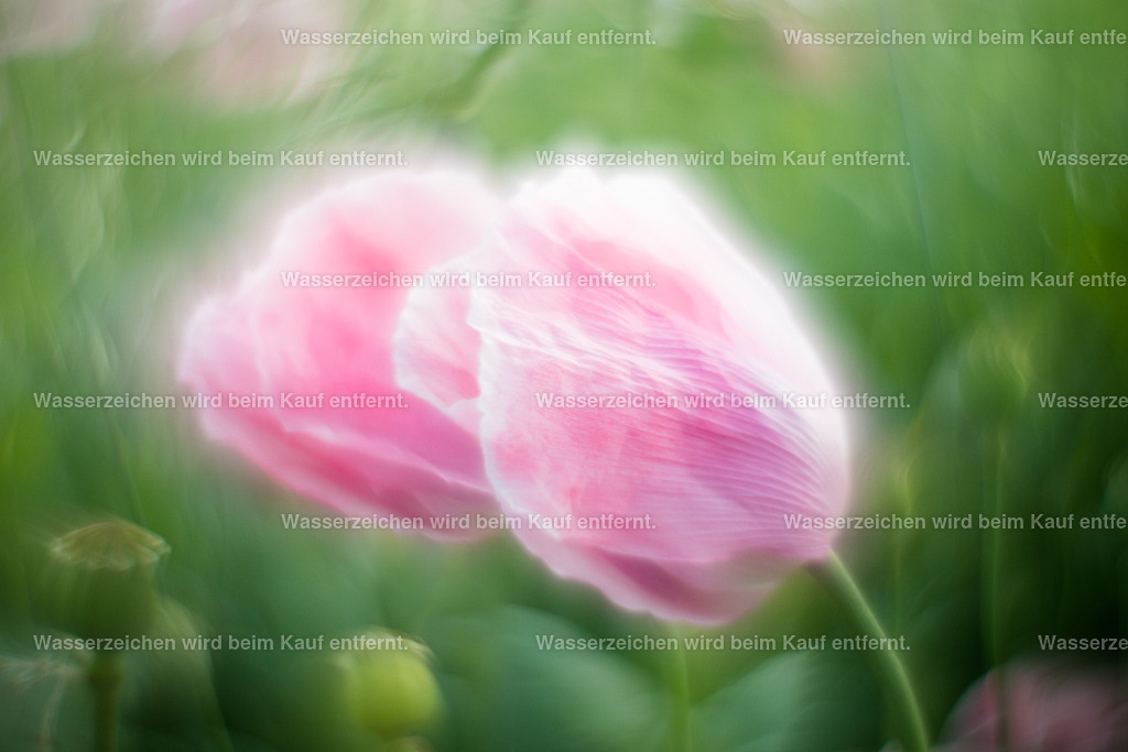 Paartanz | Die Botschaft zum Bild lautet: Genieße die Zweisamkeit. Tanze zusammen im Spiel des Lebens.