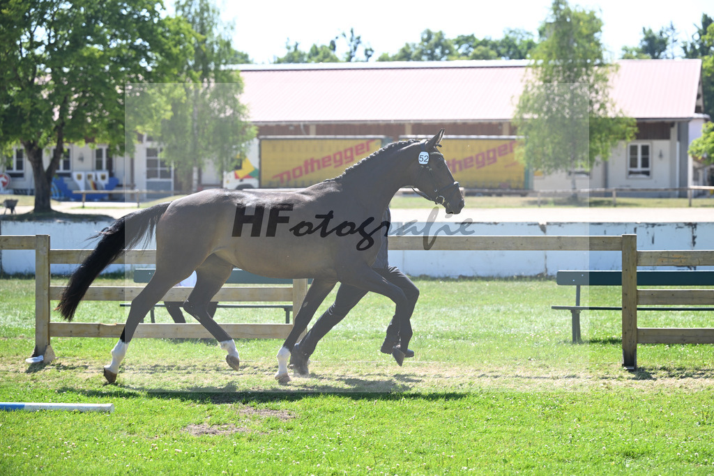 Kat-Nr. 52 Alegra v. Scalatore_HLG Schwaiganger_19250993 | hf-fotografie - Realizzato con Pictrs.com