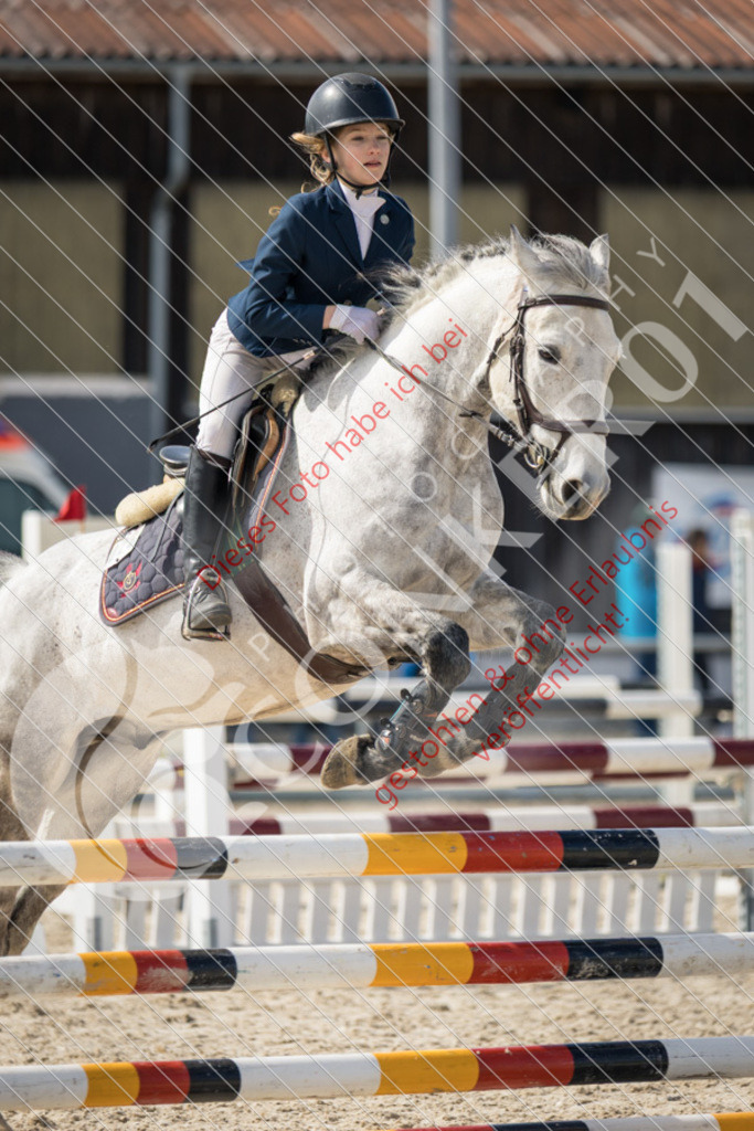 IMG_4473 | Sport-, Event- und Tierfotos in Profiqualität. Einfach auswählen, bestellen und herunterladen. Dein Moment – perfekt festgehalten.