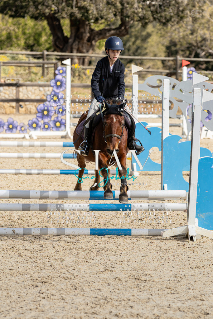 IMG_4416 | s-jay-photography - Realisiert mit Pictrs.com