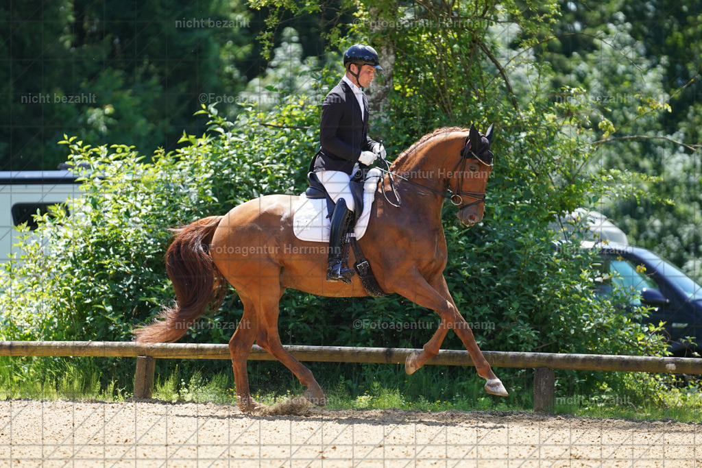20240705-FAH03580 | Turnierbilder von Grafing, Reitsportbilder, Turnierfotos, Turnierfotografen Bayern, Pferdefotograf, Fotoagentur Herrmann