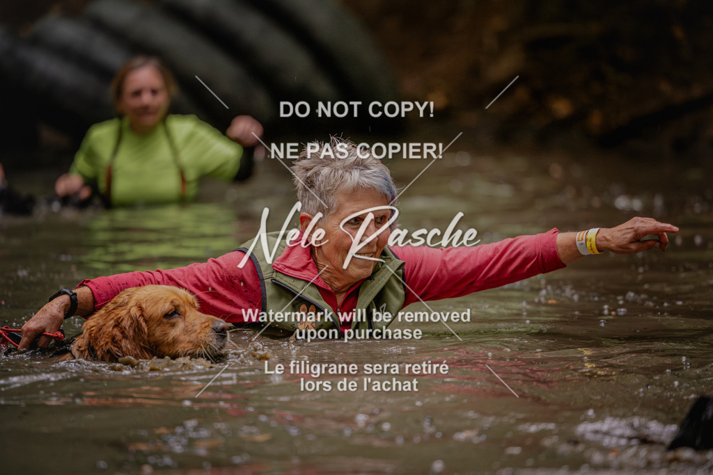 nelerasche_SaWingst1130-1200_71 | nelerasche