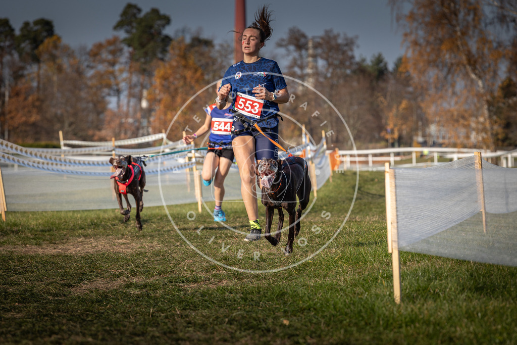 CaniXpix_0L8A9074 | Hundefotografie, Tierfotograf, Pfotenfotografie, Fotoshooting Hund, Hunde Portrait, Hundesport, Hundeportraits, Heideshooting, Hunde, Sportfotograf, Hundefotograf, Turnierhundsport, THS,  - Realisiert mit Pictrs.com