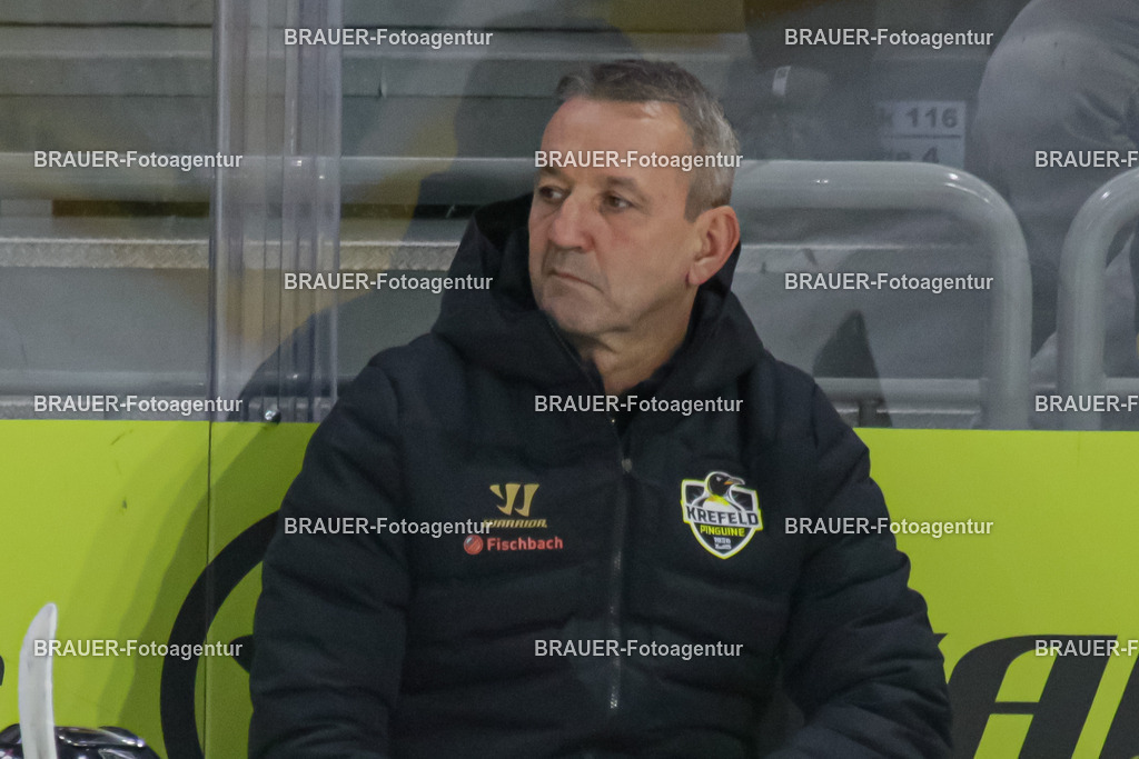 02.11.2025: DEL2  Krefeld Pinguine - Eispiraten Crimmitschau | Krefeld, Deutschland, 02.11.2025: Trainer Thomas Popiech(Krefeld Pinguine) schaut während des DEL2-Spiels zwischen Krefeld Pinguine - Eispiraten Crimmitschau am 02.11. 2025 in der Yayla-Arena in Krefeld, Deutschland. (Foto Ralph Görtz / Brauer-Fotoagentur)