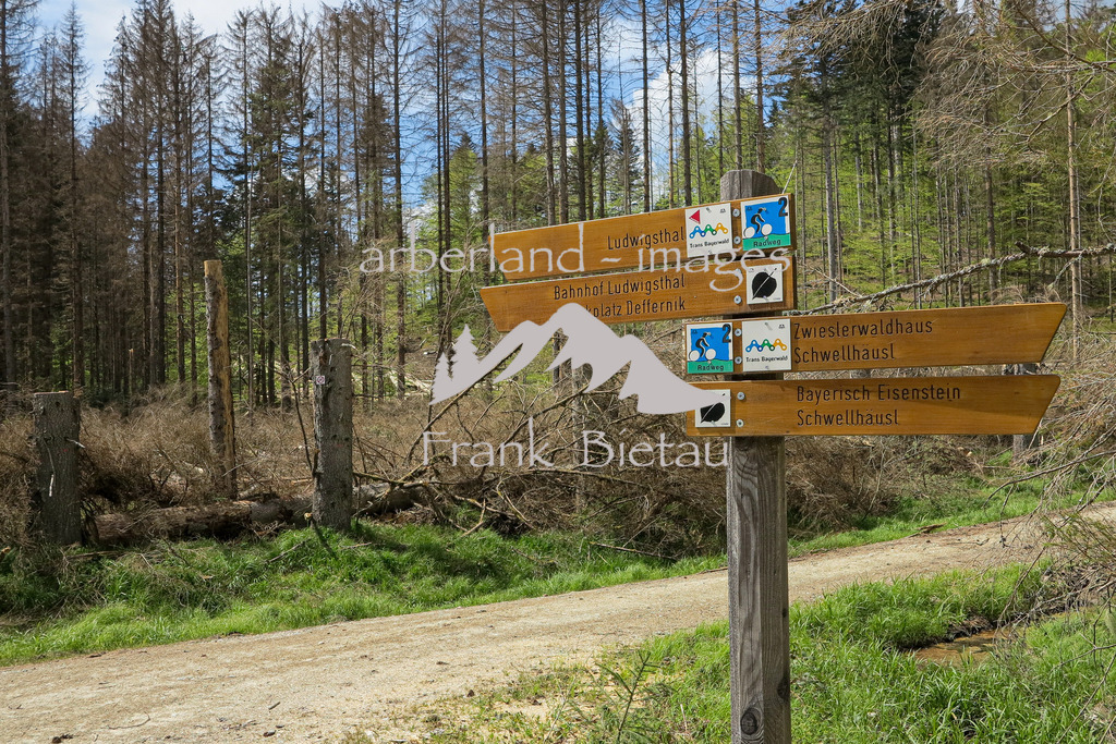 IMG_1985 | Medien- Sport- Entertainmentfotos