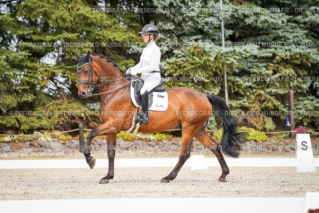 DSC06723 | Pferdegrafie