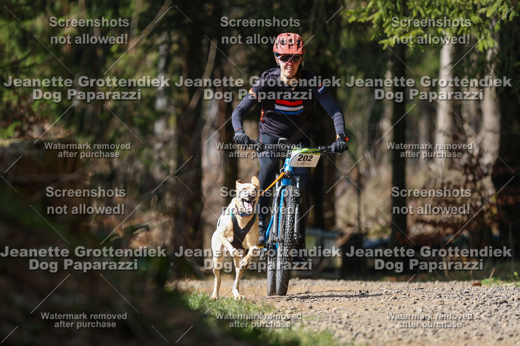 Dog Paparazzi - VCC26-207 | Dog Paparazzi Jeanette Grottendiek Fotografie & Videografie - Realisiert mit Pictrs.com