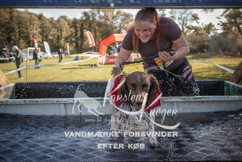 1224_ZZ96112 | kk-dogfotos