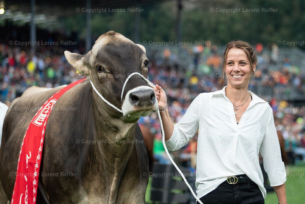 Schwingen -  ESAF 2025 Samstag | Mollis, 30.8.25, Schwingen - ESAF Samstag.