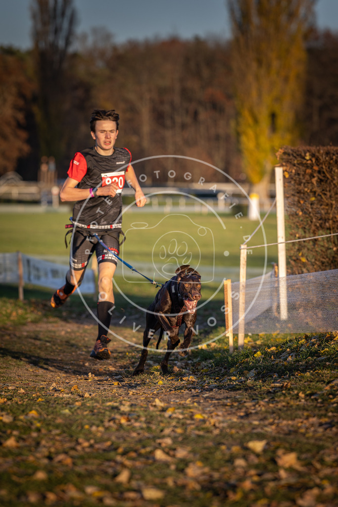 CaniXpix_DV3A4915 | Hundefotografie, Tierfotograf, Pfotenfotografie, Fotoshooting Hund, Hunde Portrait, Hundesport, Hundeportraits, Heideshooting, Hunde, Sportfotograf, Hundefotograf, Turnierhundsport, THS,  - Realisiert mit Pictrs.com