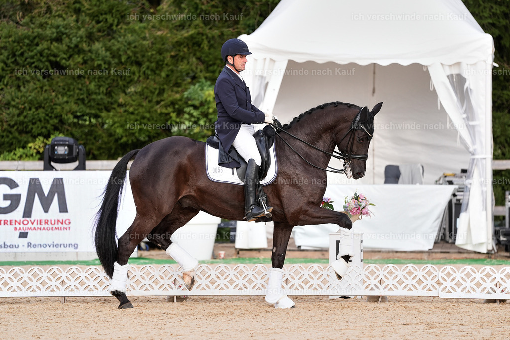 13-Siegerehrung-S___ -StoibPH-6910 | working equitationturnier fotograf videograf stoibphotography marixx film working equitation deutschland reitsport turnierfotografie eventfotografie equestrian events