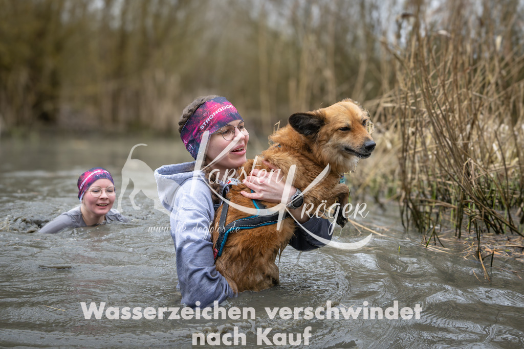 1054_ZZ93664 | kk-dogfotos