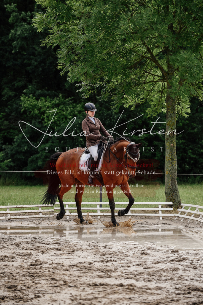 DSC_9489 | Pferde- und Turnierfotografie in Westsachsen. Pferdeportraits, Auftragszeichnungen und intuitive Kunst.