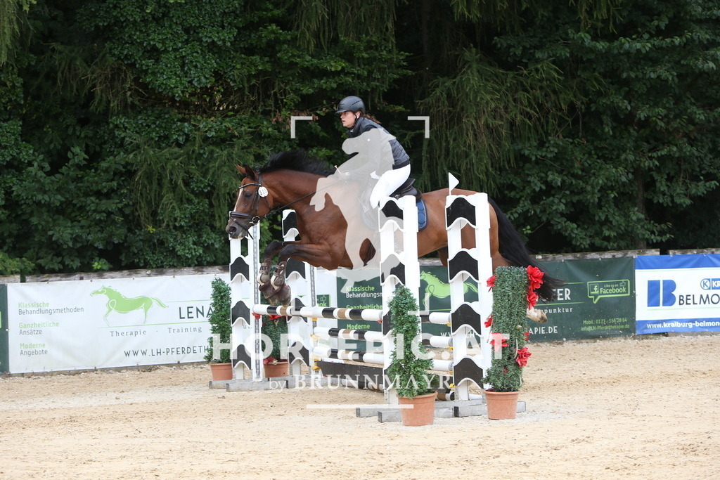 DL2Q1289 | Willkommen bei Brunnmayr - Design & Fotografie – Ihrem Spezialisten für Reitturniere und Pferdeveranstaltungen in Oberösterreich, Salzburg und Bayern! Seit über 17 Jahren sind wir leidenschaftlich dabei.