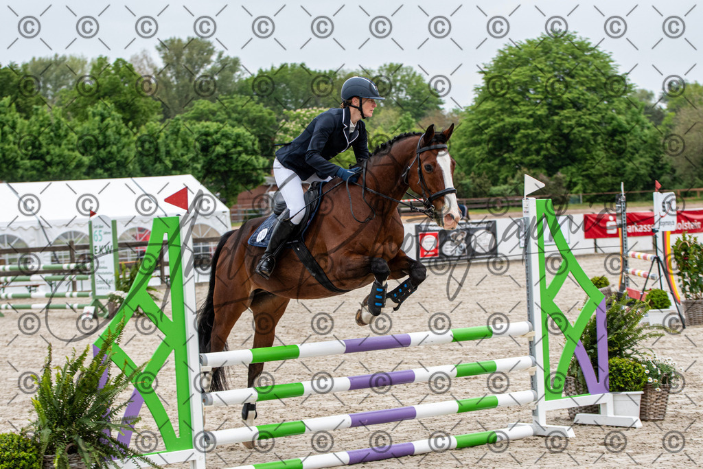 KPT_7458 | andre_photographic