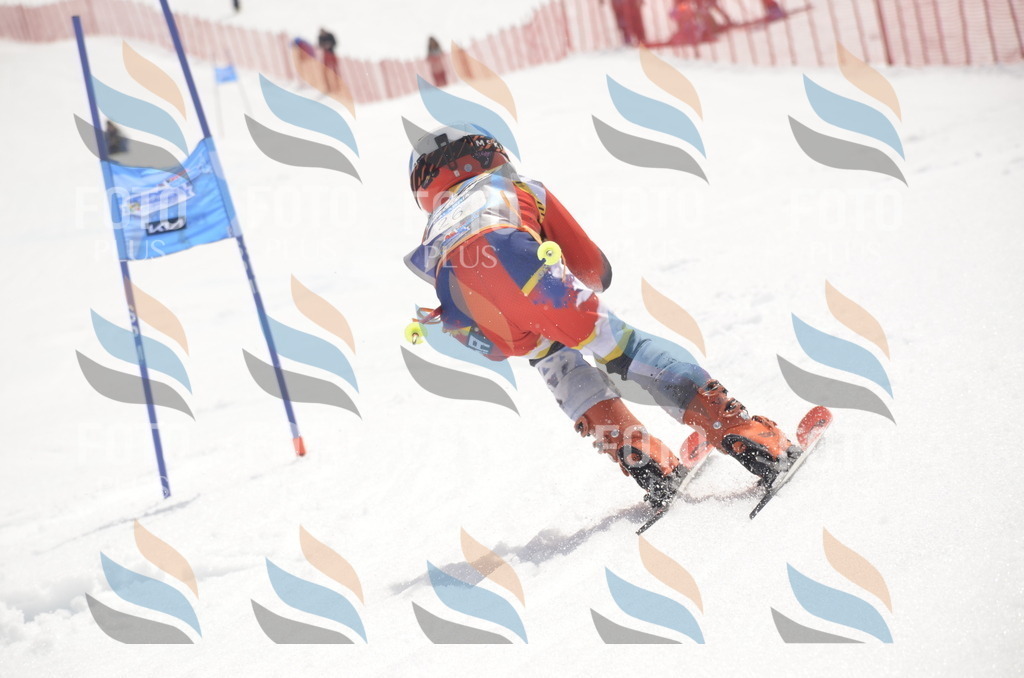 _ELE8888 | holidayphoto