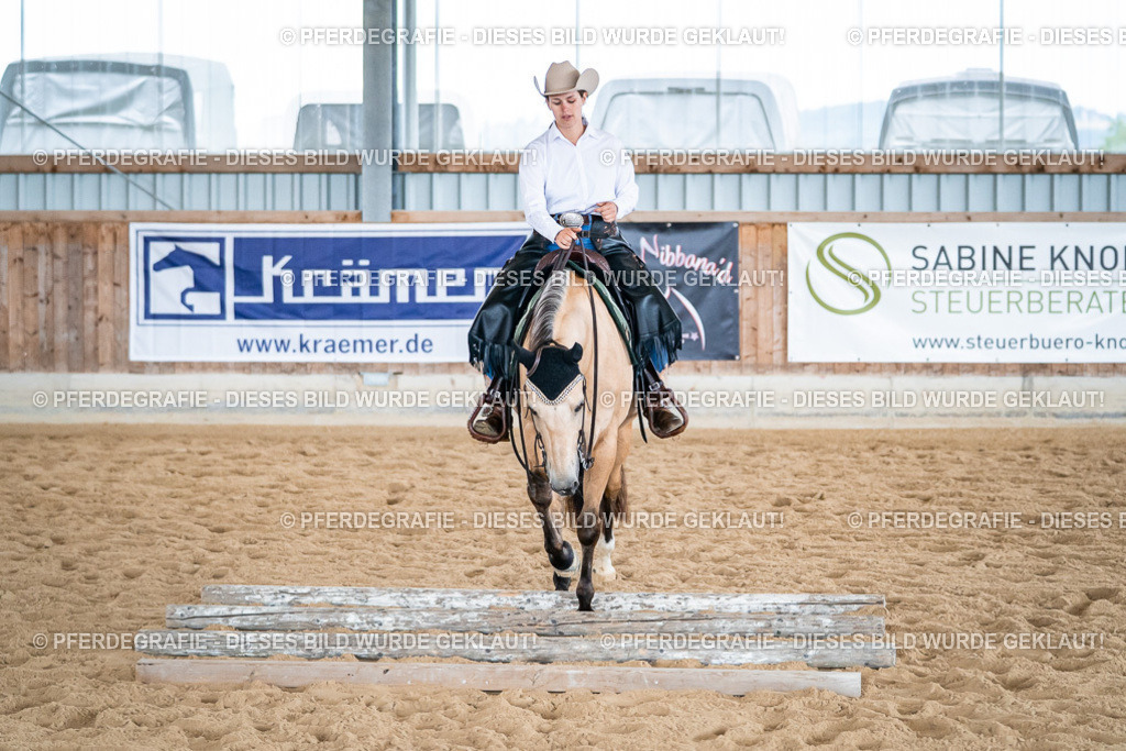 DSC03556 | Pferdegrafie