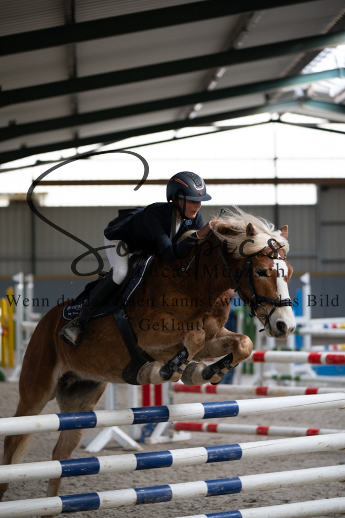 A7V08399 | Pferdefotograf