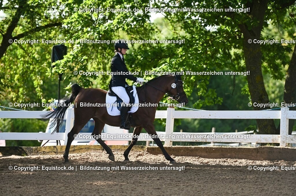 20230716_04_Dressurreiterprüfung Kl.A_0116 | equistock