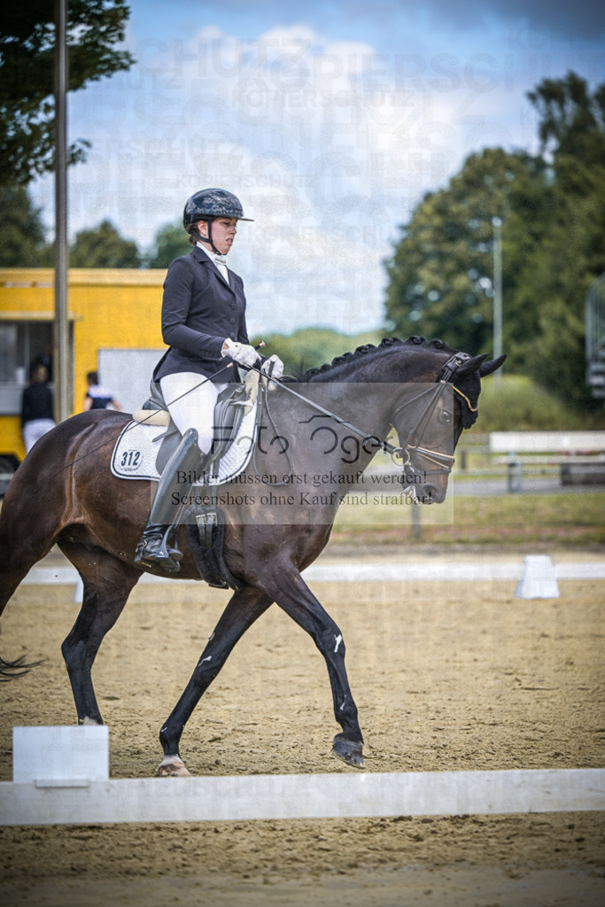 DOS_1569 | Entdecke hochwertige Reitturnierfotos von Foto Oger. Professionell, emotional und authentisch – jetzt Lieblingsmomente im Shop bestellen.Deutschlandweite Turnierfotografie. - Realisiert mit Pictrs.com