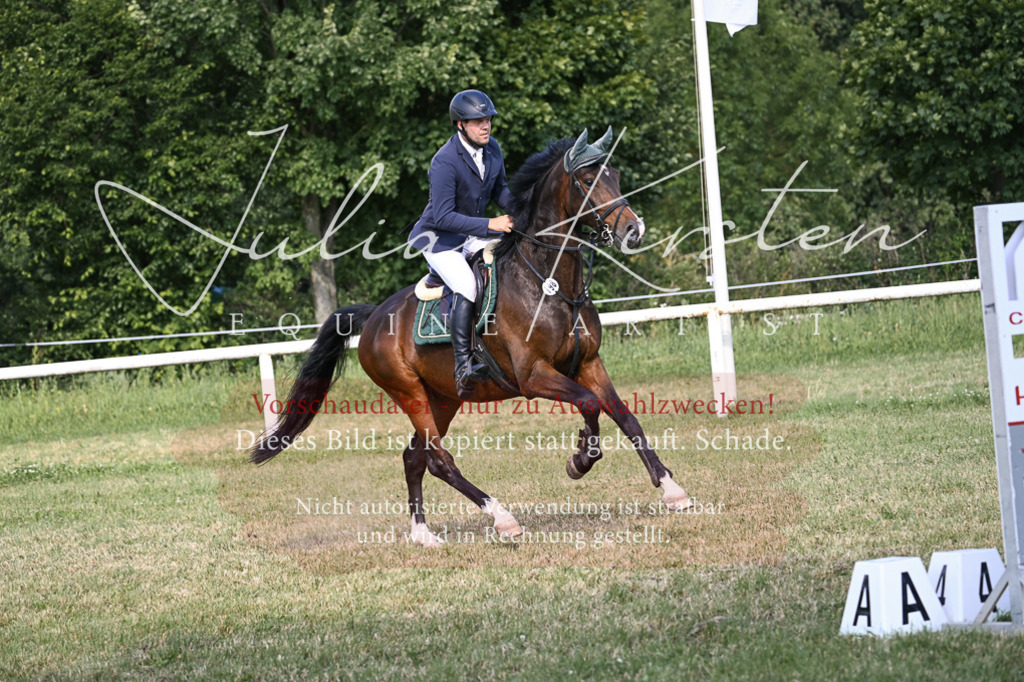 DSC_1404 | Pferde- und Turnierfotografie in Westsachsen. Pferdeportraits, Auftragszeichnungen und intuitive Kunst.