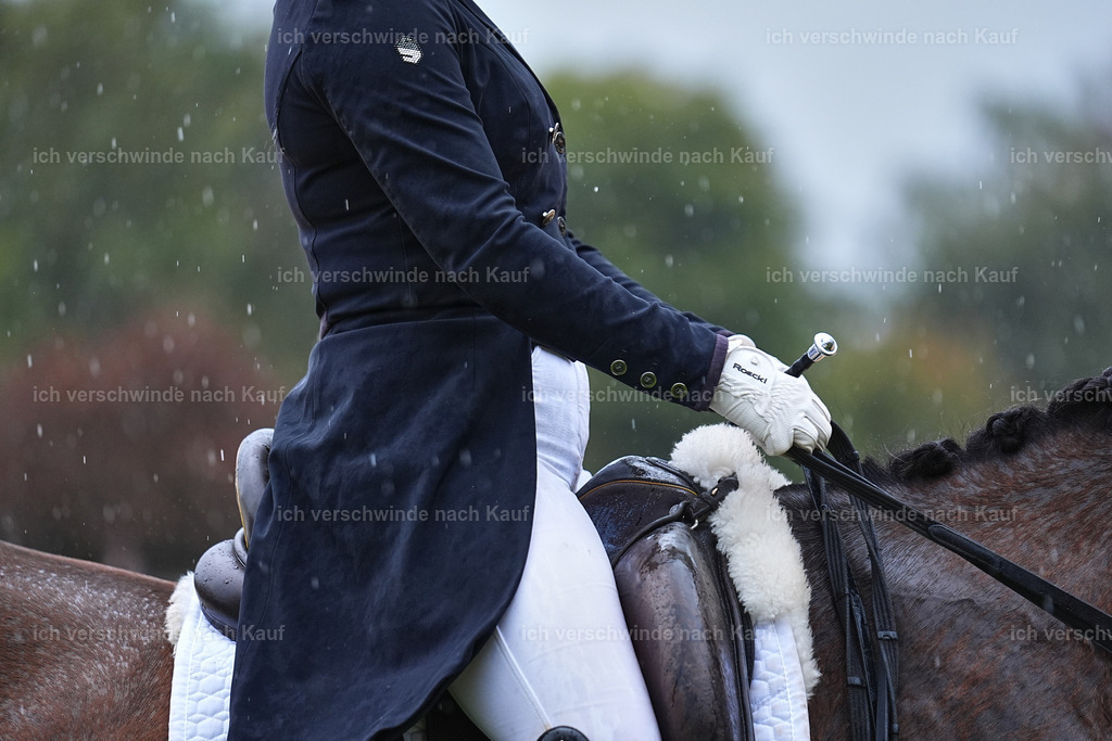 8_1-001-Klasse S_  -Marixx-4327 | working equitationturnier fotograf videograf stoibphotography marixx film working equitation deutschland reitsport turnierfotografie eventfotografie equestrian events