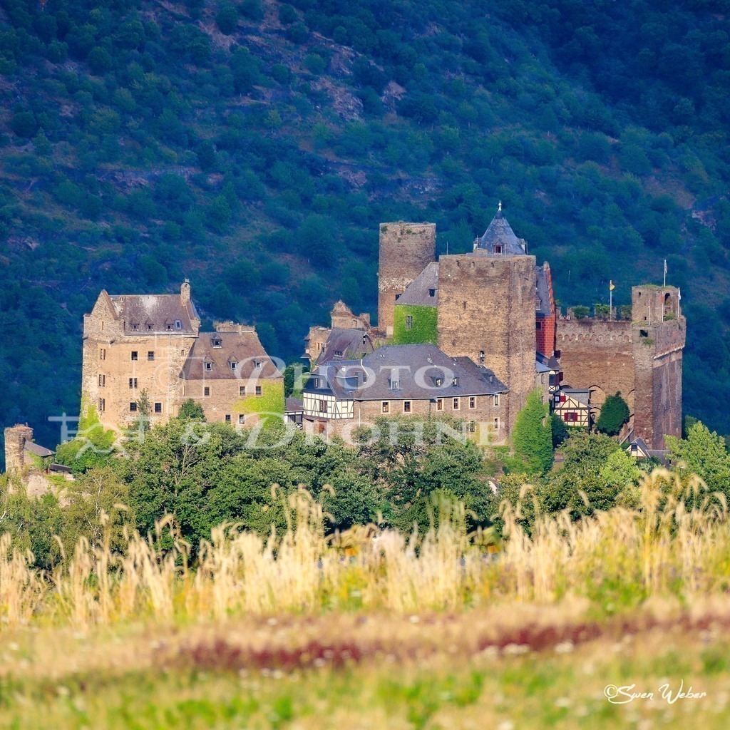 Schönburg-13 | Die Aufnahme wurde von der Hardthöhe, die sich oberhalb der Stadt Oberwesel befindet, aufgenommen. Hinter der Burg ist der Wald auf der gegenüberliegenden Rheinseite zu sehen. - Realisiert mit Pictrs.com