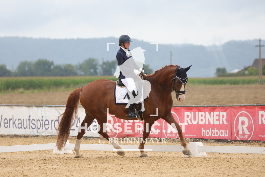 0P6A0032 | Willkommen bei Brunnmayr - Design & Fotografie – Ihrem Spezialisten für Reitturniere und Pferdeveranstaltungen in Oberösterreich, Salzburg und Bayern! Seit über 17 Jahren sind wir leidenschaftlich dabei.