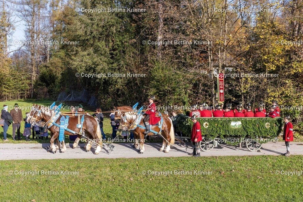 LBT24-362 | foto-bettina-krinner - Realisiert mit Pictrs.com