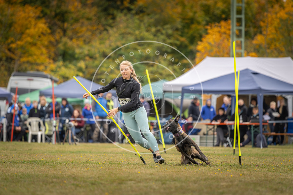 Pfotenfotografie_DV3A3962 | Hundefotografie, Tierfotograf, Pfotenfotografie, Fotoshooting Hund, Hunde Portrait, Hundesport, Hundeportraits, Heideshooting, Hunde, Sportfotograf, Hundefotograf, Turnierhundsport, THS,  - Realisiert mit Pictrs.com