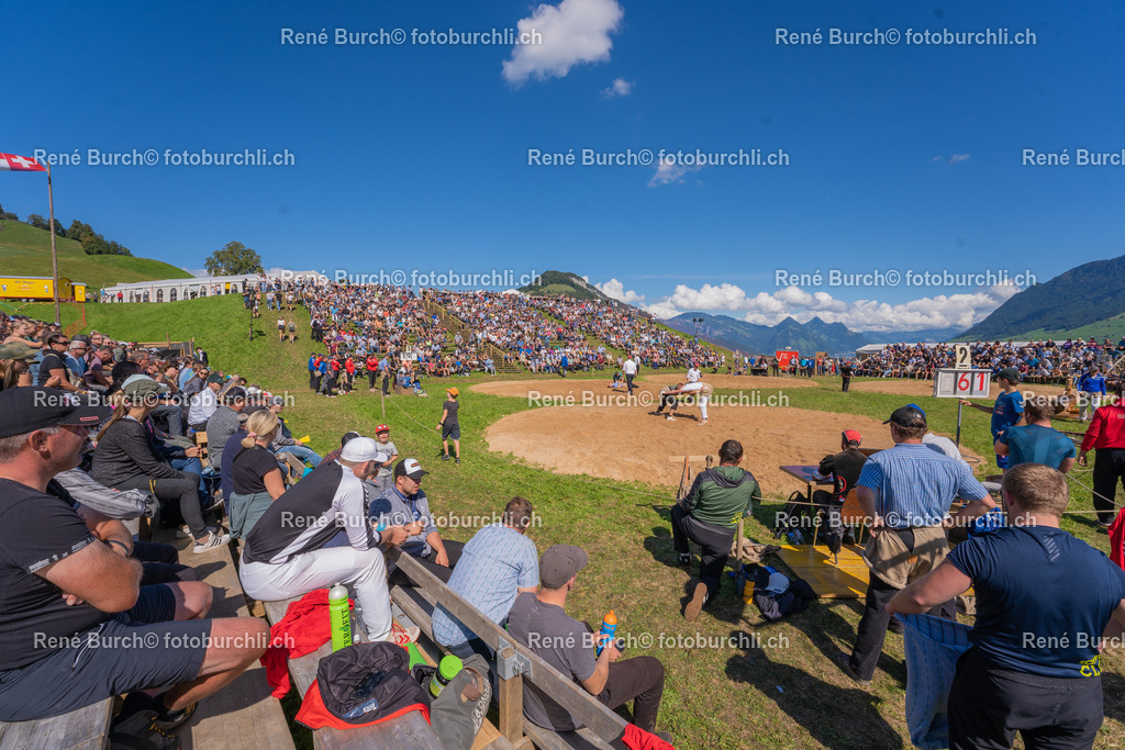 DSC08894 | René Burch leidenschaftlicher Fotograf aus Kerns in Obwalden.  Hier finden sie Sport, Landschaft und Natur Fotografie.
 - Realisiert mit Pictrs.com