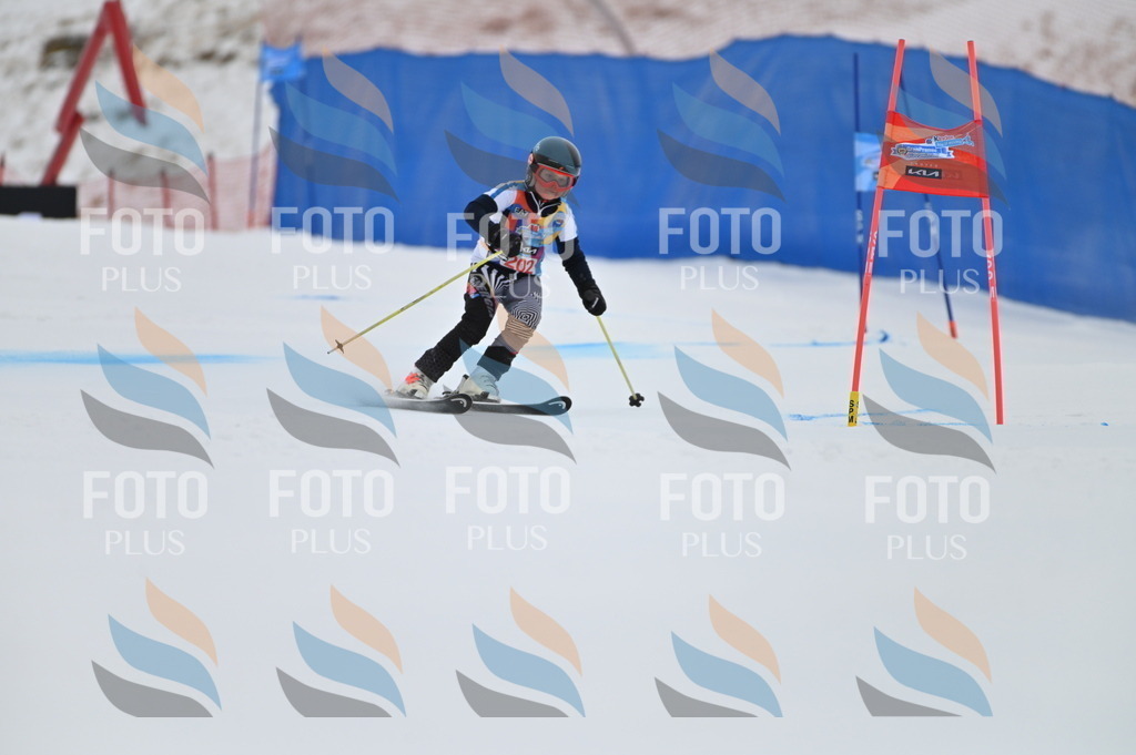 BGV_1950 | holidayphoto