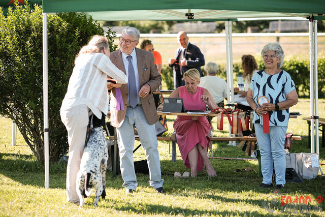 CACIB Aarau | CACIB Aarau, Swiss Dog Show  28062025 Foto: Leo Wyden